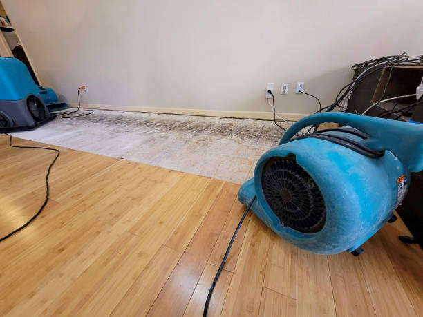 Professional Structural Drying technician working in Bloomington, TX